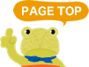 Page Top