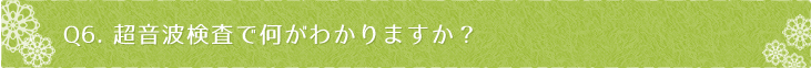 Ｑ6：超音波検査で何がわかりますか？